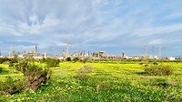 IMG_6861