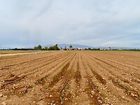 IMG_6865
