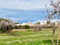 IMG_6928