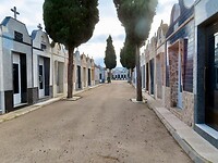 IMG_6931