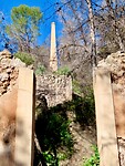 IMG_6933