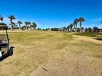 IMG_7982