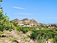IMG_7019