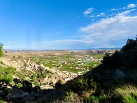 IMG_7029