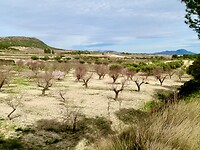 IMG_7044