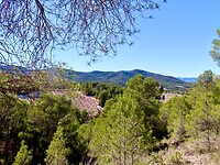 IMG_7079