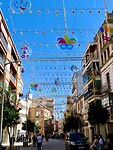 IMG_7249