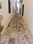 IMG_7261