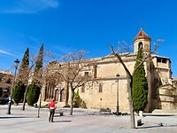 IMG_7265