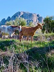 IMG_7354