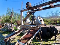 IMG_7355