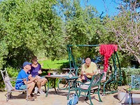 IMG_7335