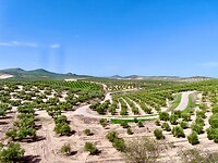 IMG_7366