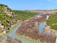 IMG_7378