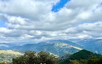 IMG_8050
