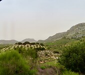 IMG_7428