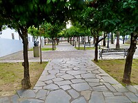 IMG_7437