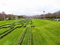 IMG_7491