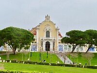 IMG_7493