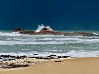 IMG_7568