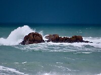 IMG_7571