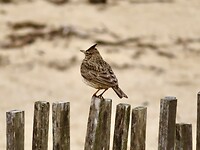 IMG_7573