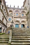 IMG_7646