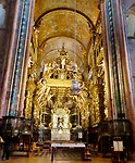 IMG_7647