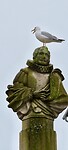 IMG_7650