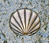IMG_7656