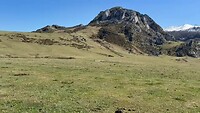 IMG_8135