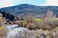IMG_7853