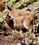 IMG_7861