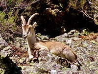 IMG_7864