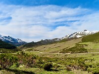 IMG_7866