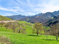 IMG_7869