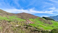 IMG_7871