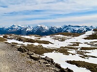 IMG_7884