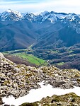 IMG_7885