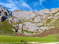IMG_7890
