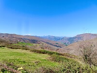 IMG_7901