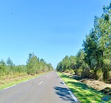 IMG_7908