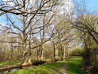 IMG_7910
