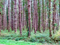 IMG_7911