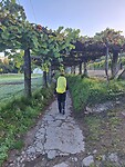 1000023163