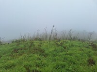 1000023642