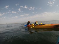 Zeehondentour 4