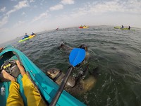 Zeehondentour 3