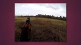 QUIK_20180810_152837