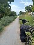 IMG-20210831-WA0012